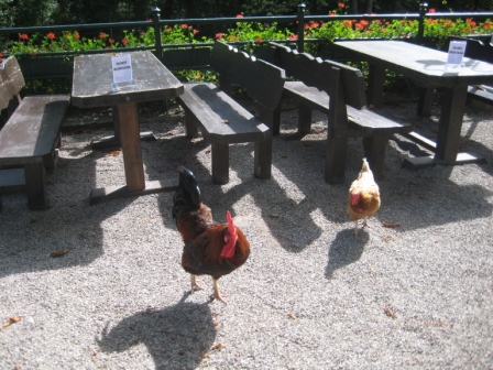 kinderfreundlicher Biergarten