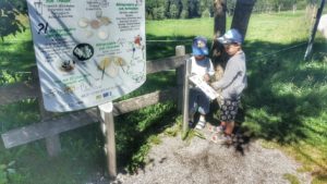 Spiel & Spaß auf dem Pfaffenwinkler Milchweg.