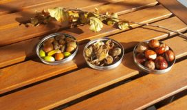 Herbst mit Kindern