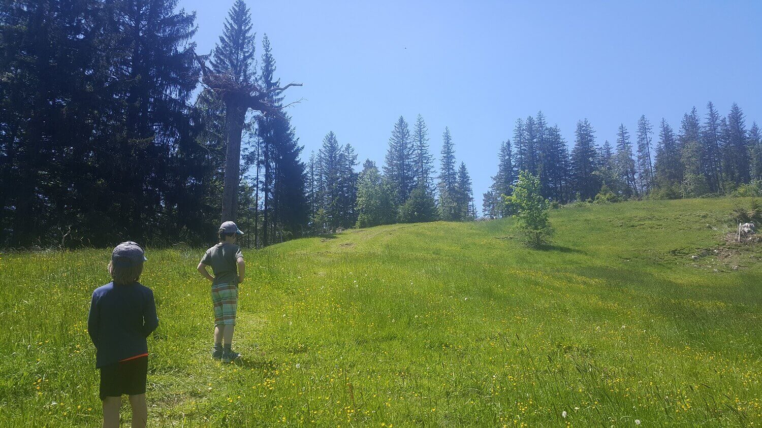 Wandern mit Kindern